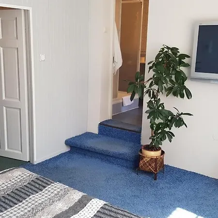 Alicja 2*